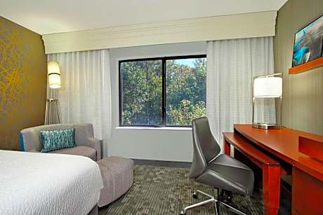 Room, 1 King Bed with Sofa bed (1 King Bed and 1 Double Sofa Bed)