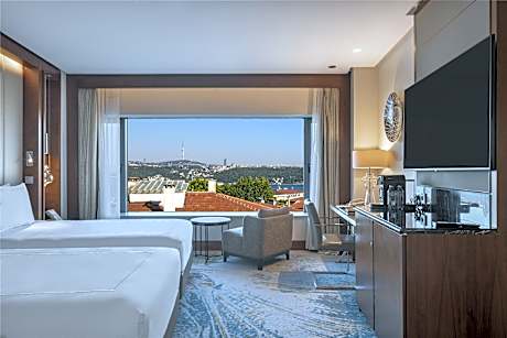 Twin Deluxe Partial Bosphorus View