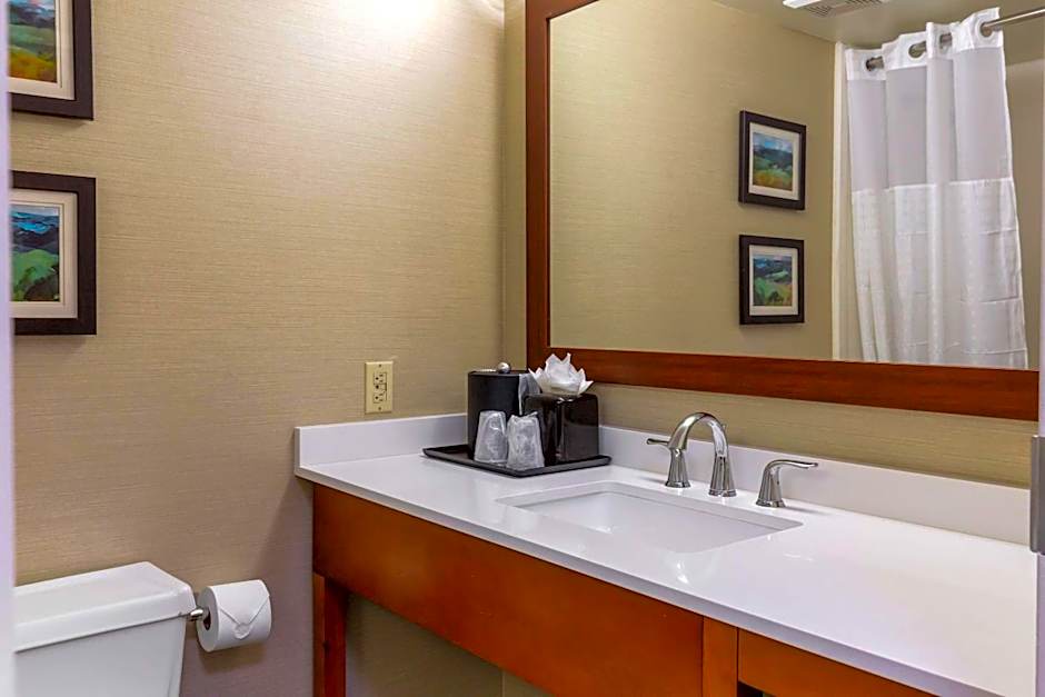 Comfort Inn University