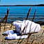 Vår Gård Saltsjöbaden