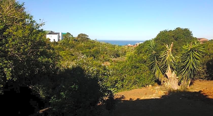 Dolphin View Guesthouse