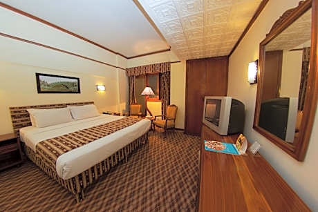 Superior Single Room