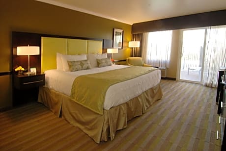 Accessible - 1 King, Mobility Accessible, Bathtub, Non-Smoking, Full Breakfast