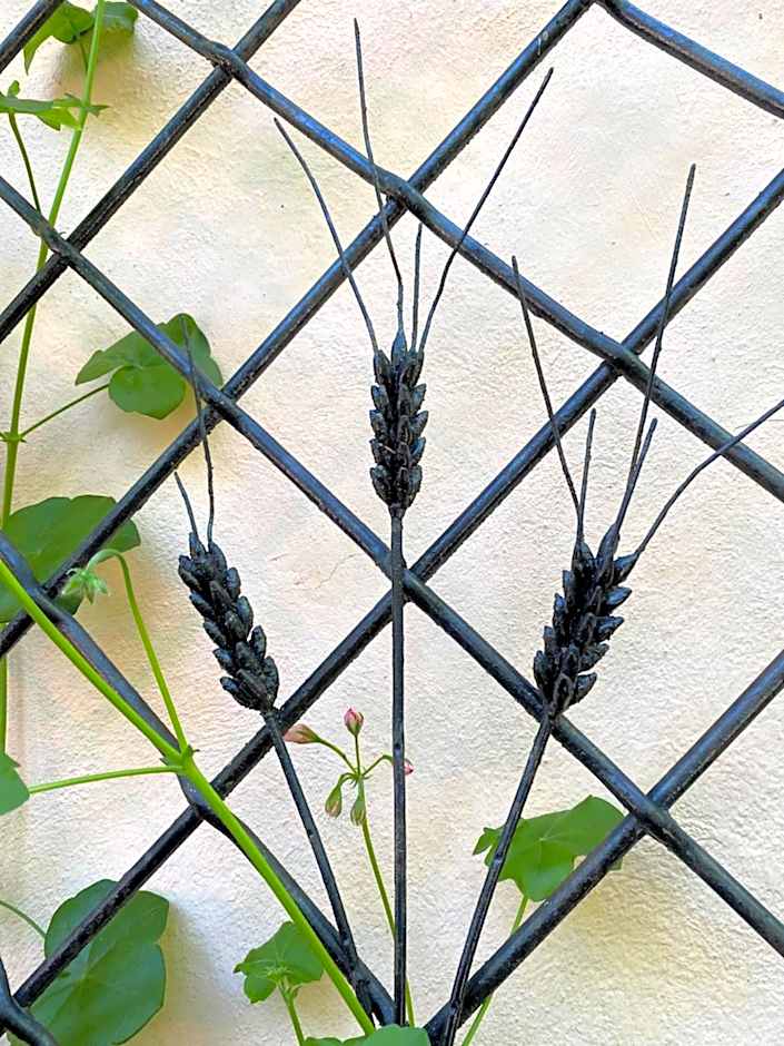 Les Iris Chambres d’hôte