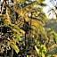Saridevi Ecolodge
