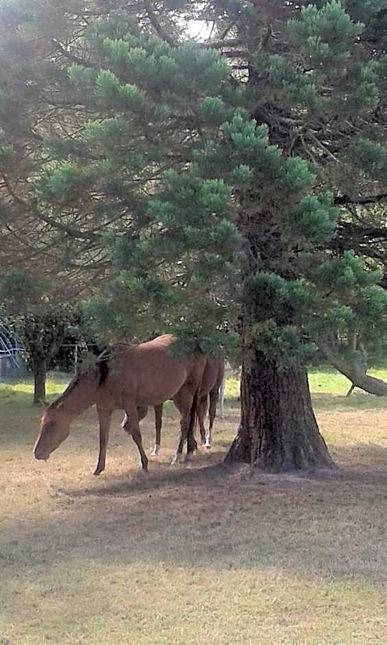 Les Portes des Froises