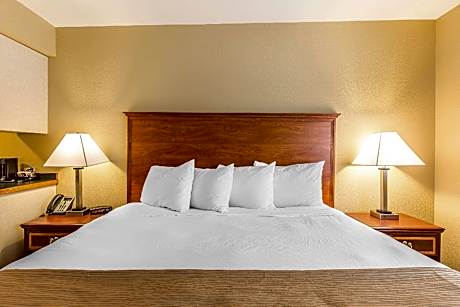 1 King Bed, Business Room, Nonsmoking
