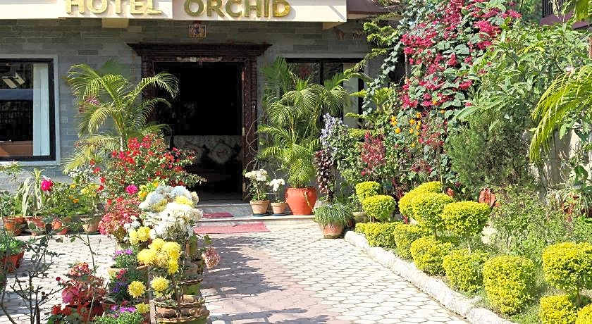 Hotel Orchid