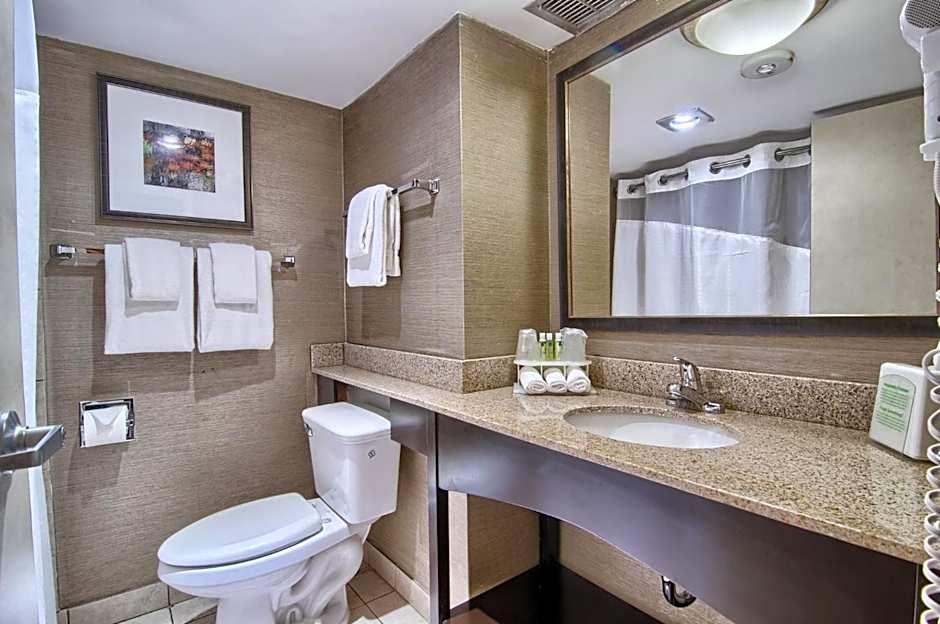 Holiday Inn Express Detroit-Birmingham by IHG