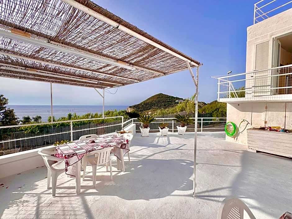 PonzaSmeralda Le Forna