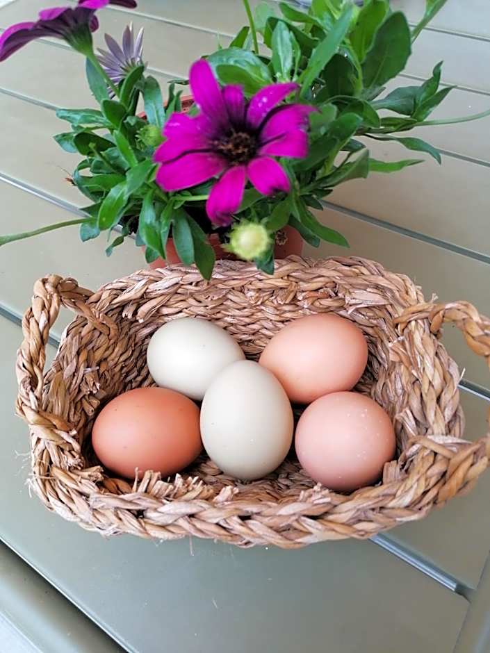 Hotel de Charme Casa Fundevila