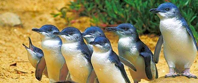 Quays Motel San Remo