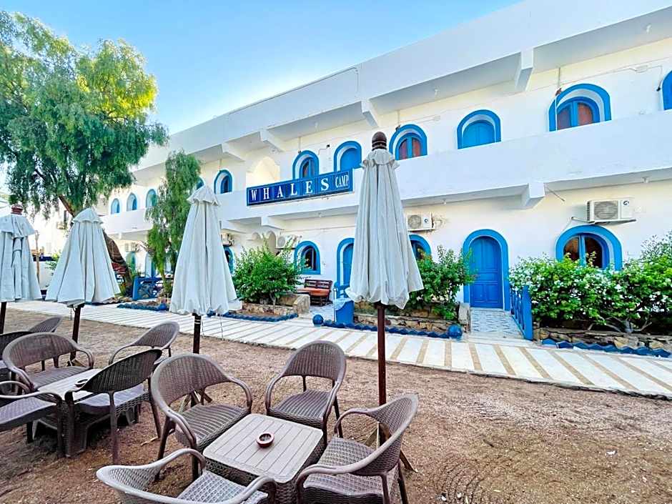 whales camp dahab