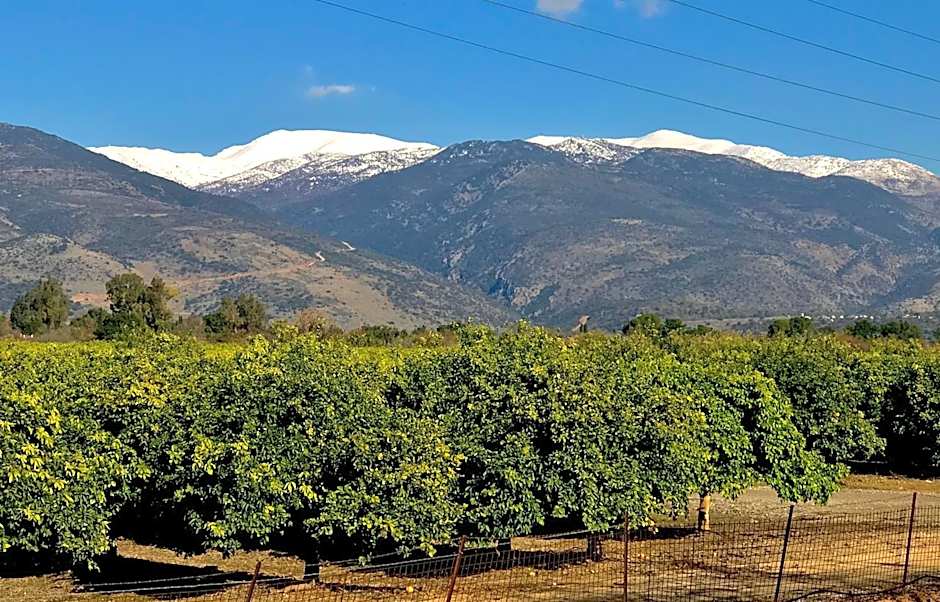 Magical in the Galilee