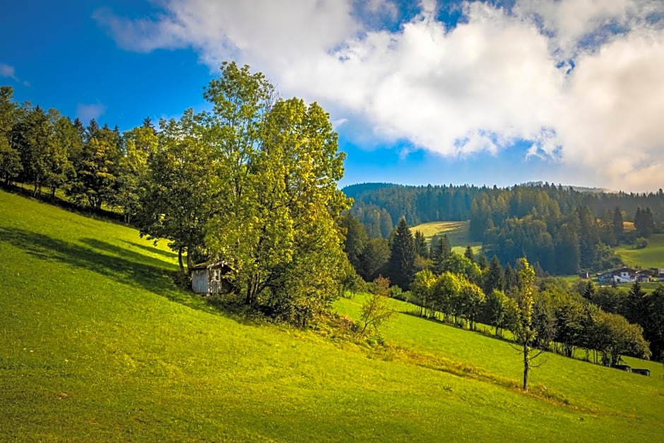Ferienwohnung Schirla Stub´m