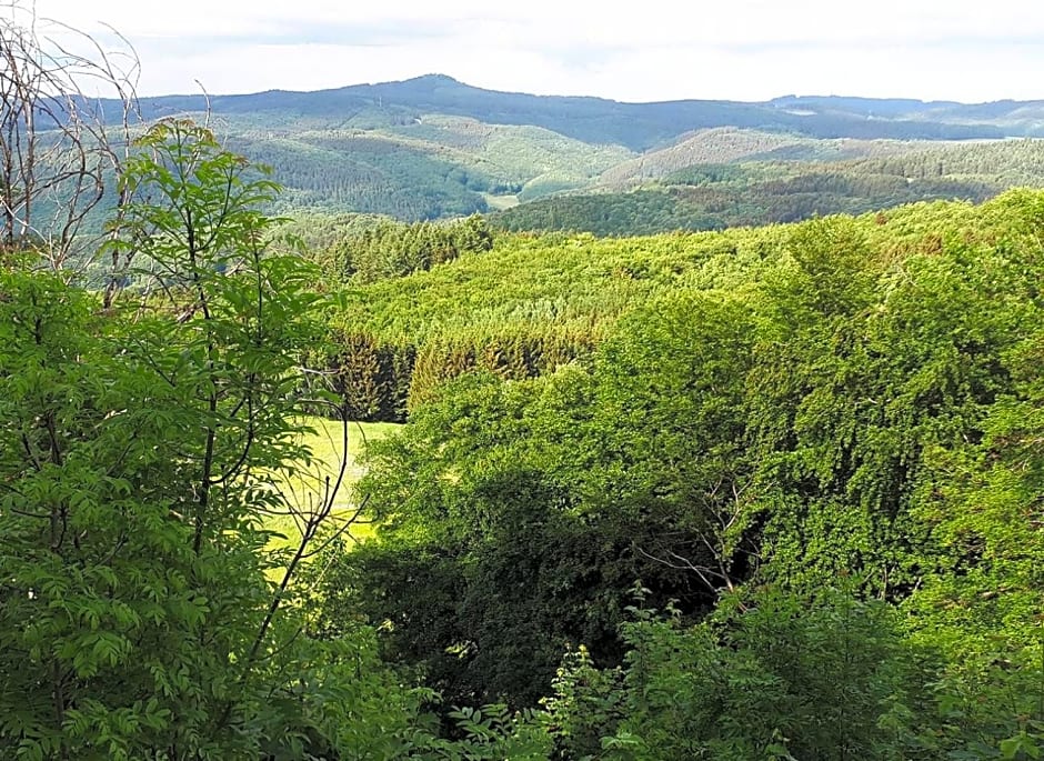 DF am Ring Nürburg