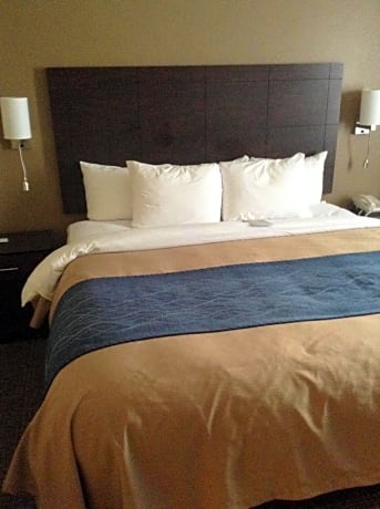 Standard King Room - Non-Smoking