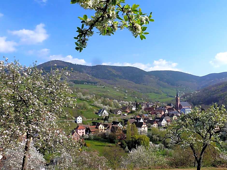 Maison d'hôtes La Cerisaie