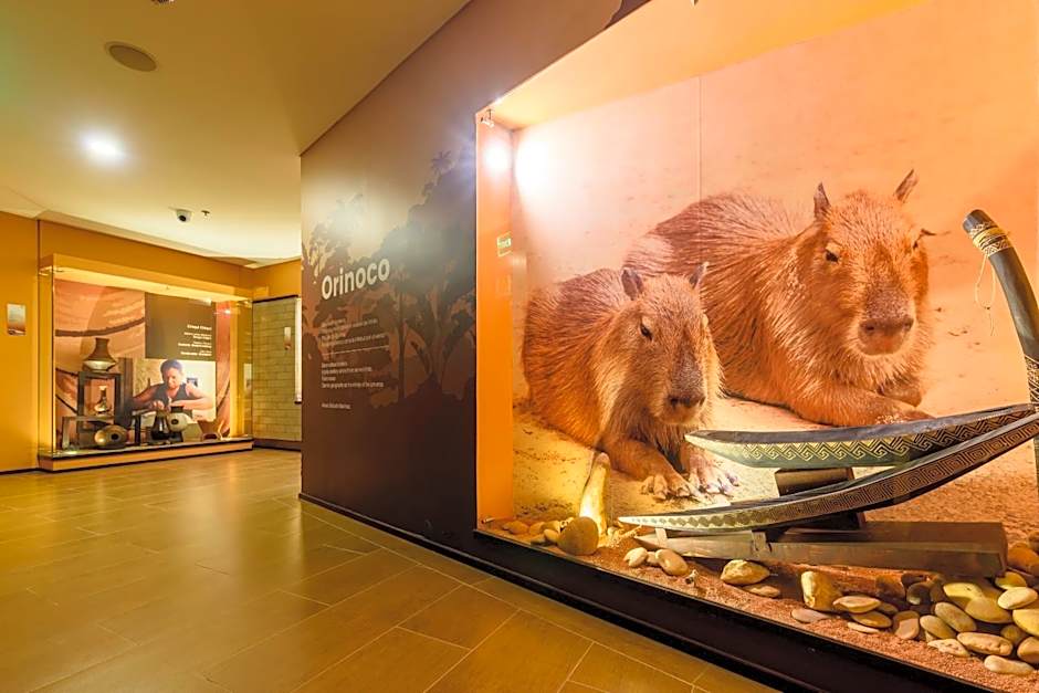 Diez Hotel Categoría Colombia