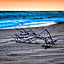 The Lakes Beachfront Holiday Park