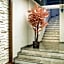 Yayla Hotel