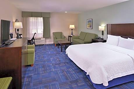 1 King Mobility/hearing Access Tub W/sofabd Ns