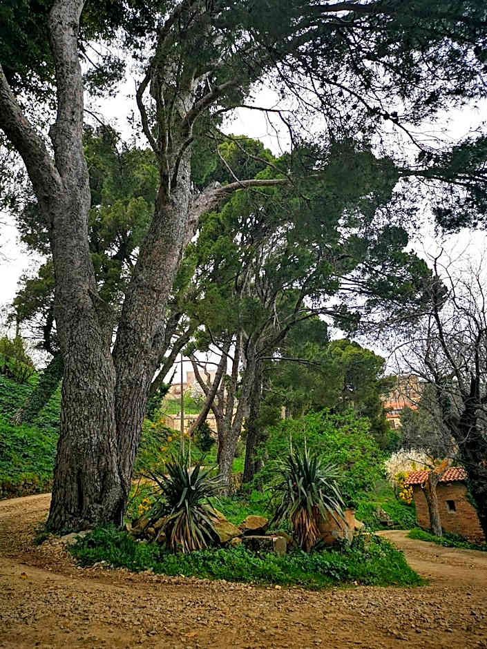 SESIMA turismo rurale