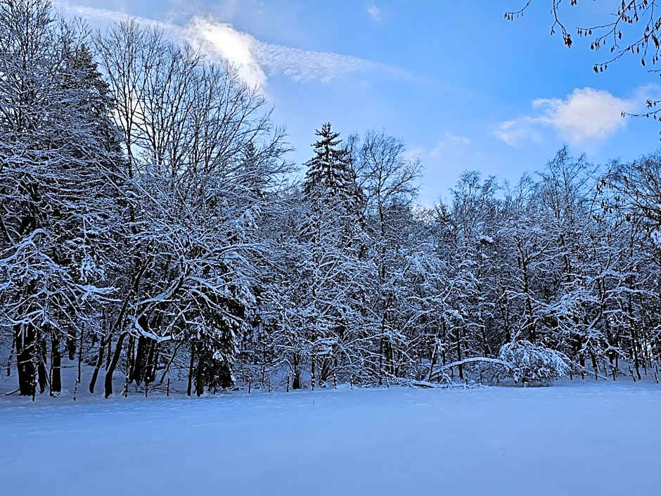 Landhotel Halbfas-Alterauge