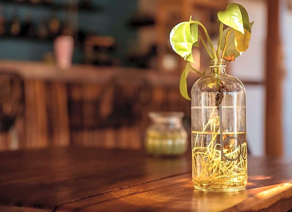 Hotel y Beach Club Casa Mia Xulha -Bacalar