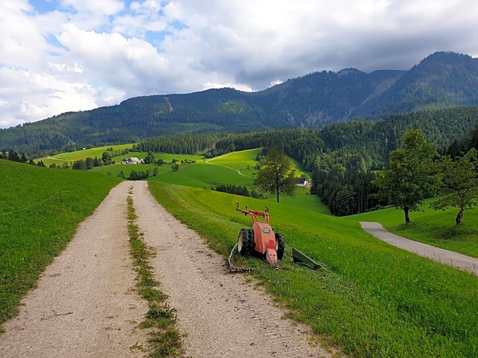 Biobauernhof Obereck