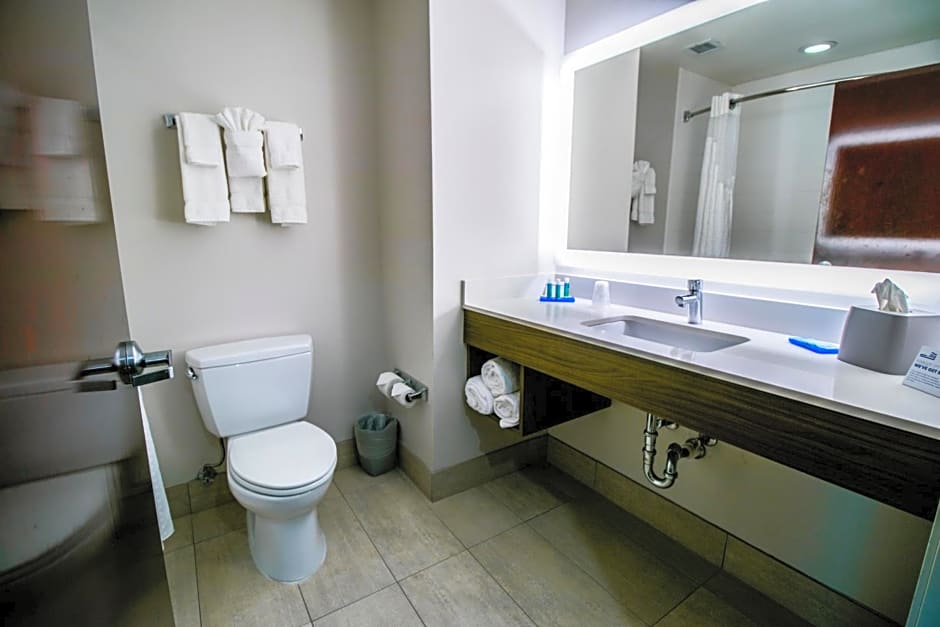 Holiday Inn Express Hotel & Suites Baton Rouge -Port Allen, an IHG Hotel