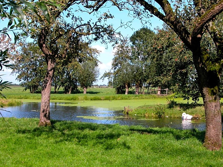 de Boomgaard Groene Hart