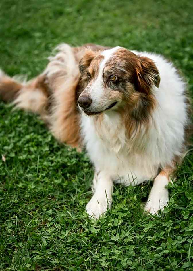 Agriturismo La Galizia