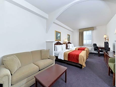 1 Queen Bed, Suite, Nonsmoking