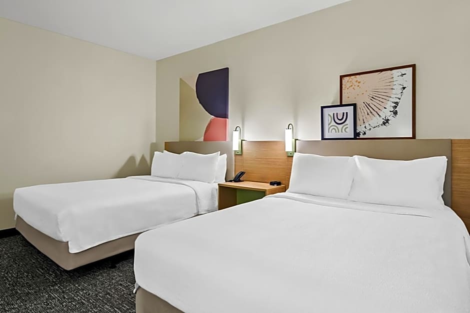 Spark by Hilton Kingsland