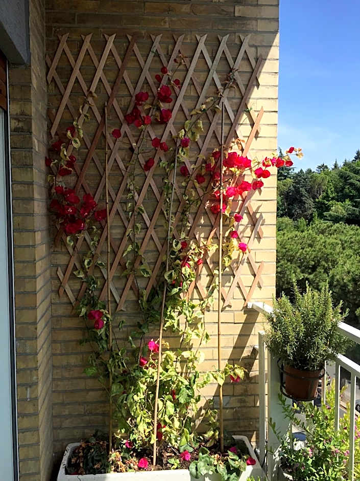 Happy Holiday in Rome b&b