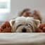 Candlewood Suites Lawrenceville - Princeton by IHG