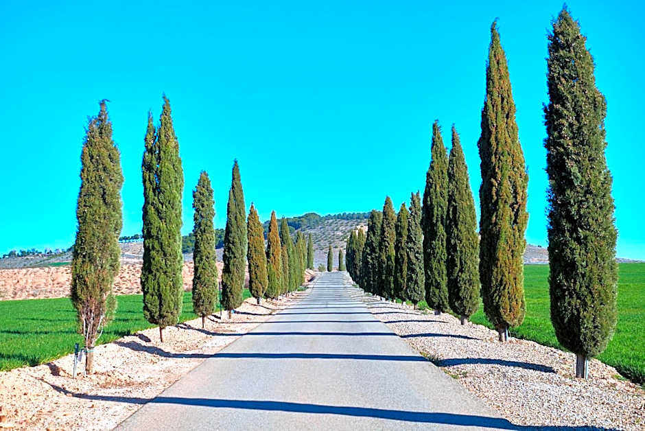 Hotel Pago De Cirsus