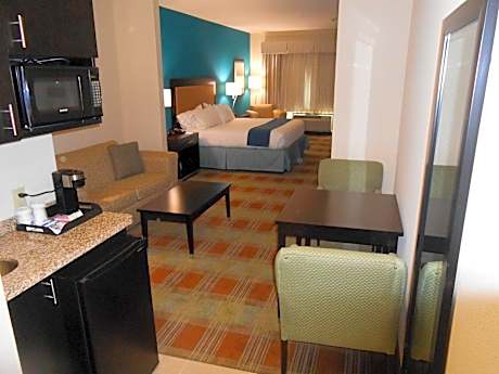 1 King Bed Suite Additional Living Area