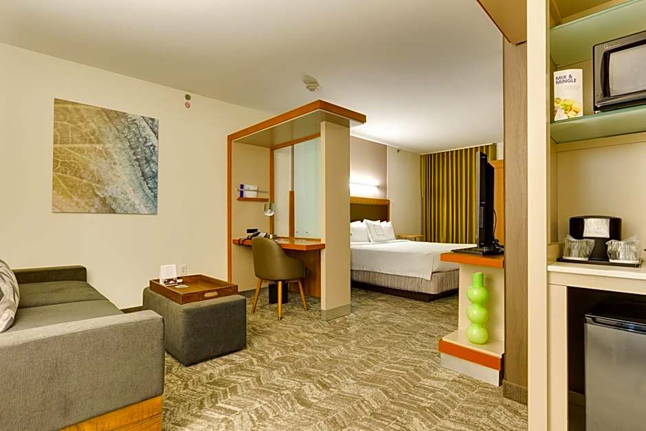 SpringHill Suites by Marriott McAllen Convention Center