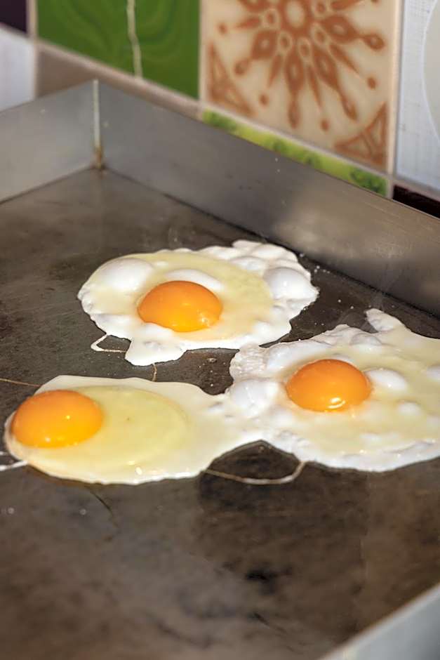 B&B Maas en Heuvel Maastricht