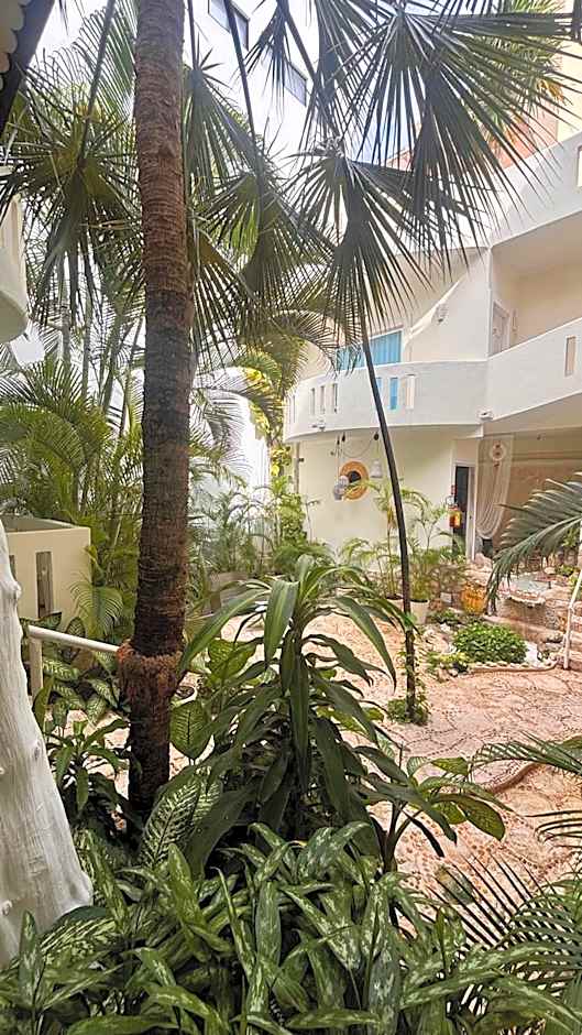 Coco Rio Hotel - Mamitas Beach Area