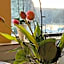 Hotel Cafe Restaurant Loreleyblick