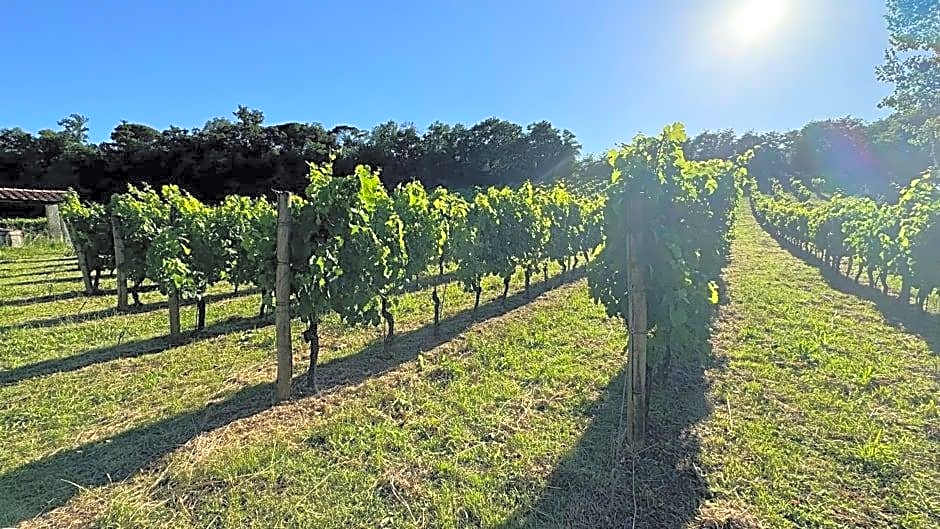 Agriturismo Montalto
