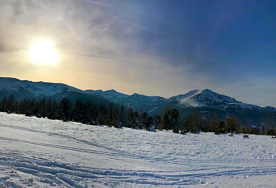 Almhaus & Almchalet Flattnitz