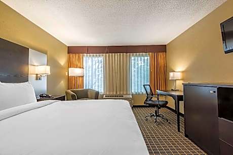 1 King Bed, Nonsmoking, Upgrade