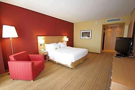 Suite, 1 Bedroom (1 King Bed and 1 Double Sofa Bed)