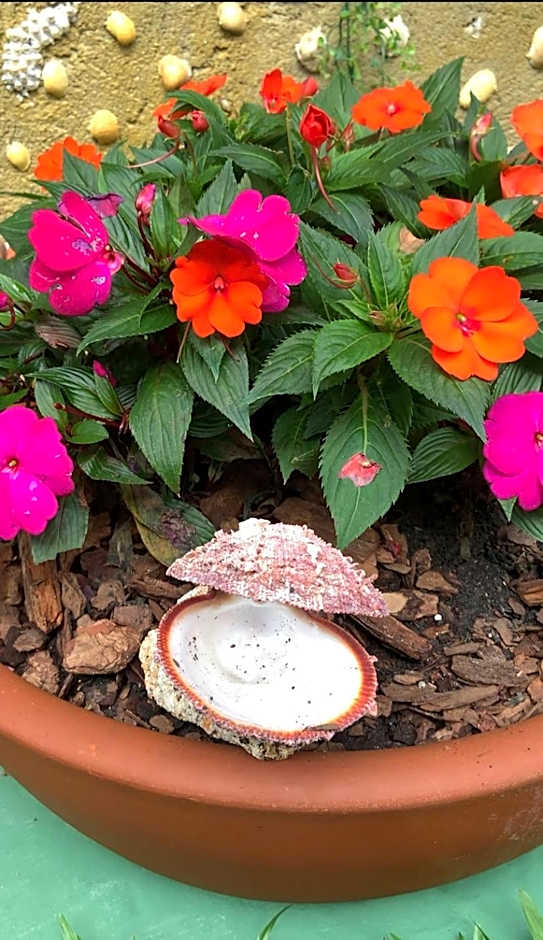 Gruta da Sereia Suítes Ubatuba
