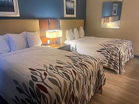 Suite with Two Double Beds Non-Smoking