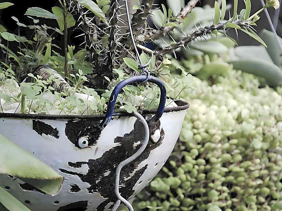 Bamboo, the Guesthouse